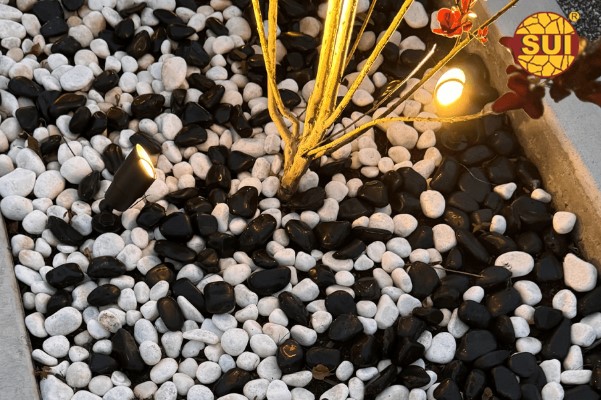 How Can Natural Stone Pebbles Enhance Your Garden or Landscape Design?